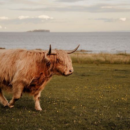 Clover Cottage Countryside Retreat With Sea Views Crail Exteriör bild