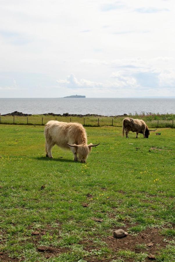 Clover Cottage Countryside Retreat With Sea Views Crail Exteriör bild