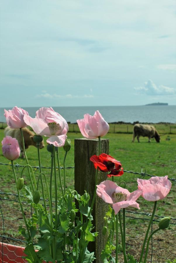 Clover Cottage Countryside Retreat With Sea Views Crail Exteriör bild